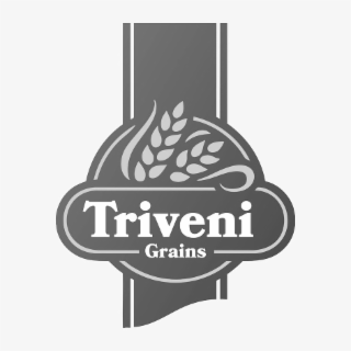 TRIVENI GRAINS