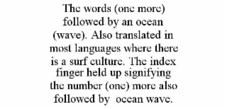 THE WORDS (ONE MORE) FOLLOWED BY AN OCEAN (WAVE). ALSO TRANSLATED IN MOST LANGUAGES WHERE THERE IS A SURF CULTURE. THE INDEX FINGER HELD UP SIGNIFYING THE NUMBER (ONE) MORE ALSO FOLLOWED BY  OCEAN WAV