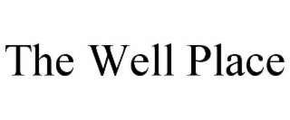THE WELL PLACE