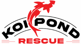 KOI POND RESCUE