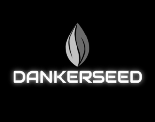DANKERSEED