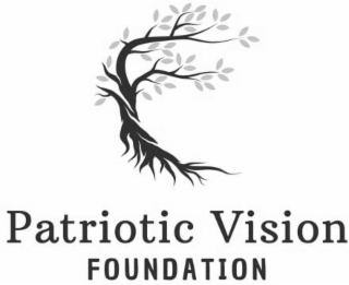PATRIOTIC VISION FOUNDATION