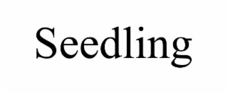 SEEDLING