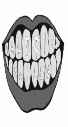 SALT CITY GRILLZ