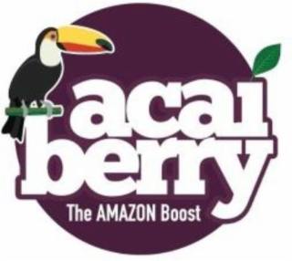 ACAI BERRY THE AMAZON BOOST