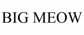 BIG MEOW
