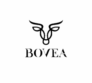 BOVEA