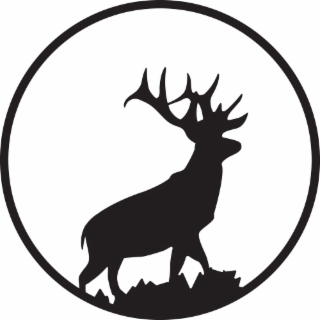 Image Trademark