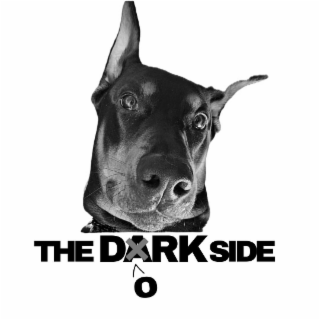 THE DORK SIDE