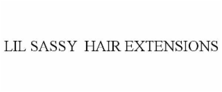 LIL SASSY  HAIR EXTENSIONS