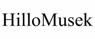 HILLOMUSEK