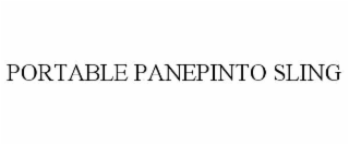PORTABLE PANEPINTO SLING