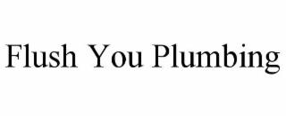 FLUSH YOU PLUMBING