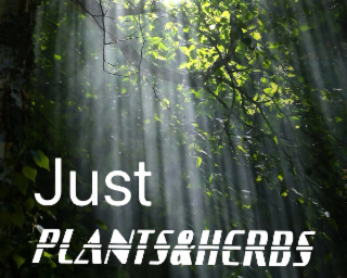 JUST PLANTS&HERBS