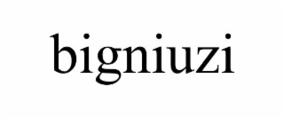 BIGNIUZI