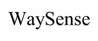 WAYSENSE
