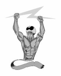 Image Trademark