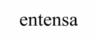 ENTENSA