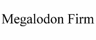 MEGALODON FIRM
