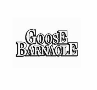 GOOSE BARNACLE