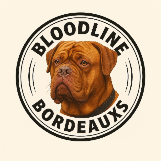 BLOODLINE BORDEAUXS