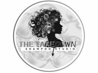 THE TAKEDOWN SHAMPOO STUDIO
