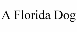 A FLORIDA DOG