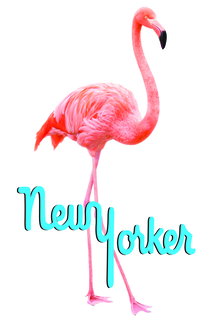 NEW YORKER
