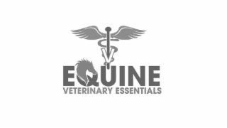 EQUINE VETERINARY ESSENTIALS