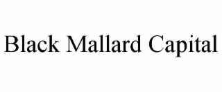 BLACK MALLARD CAPITAL
