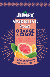 JUMEX SPARKLING SODA ORANGE & GUAVA NATURALLY FLAVORED WITH OTHER NATURAL FLAVORS A BIT OF MEXICO ~IN EVERY SIP~