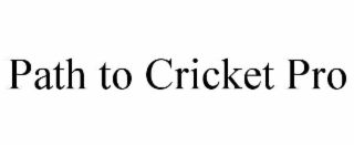 PATH TO CRICKET PRO