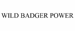 WILD BADGER POWER