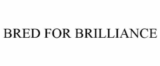 BRED FOR BRILLIANCE