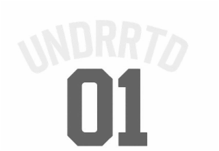 UNDRRTD 01