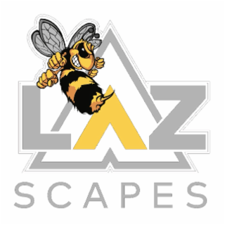 LAZ SCAPES