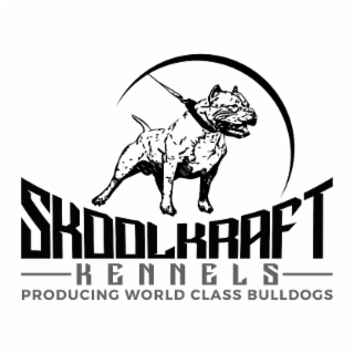 SKOOLKRAFT KENNELS PRODUCING WORLD CLASS BULLDOGS
