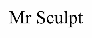 MR SCULPT