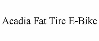ACADIA FAT TIRE E-BIKE