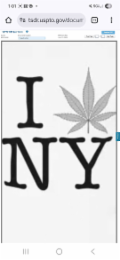 I CANNABIS NY