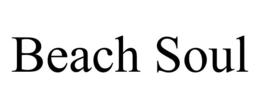 BEACH SOUL