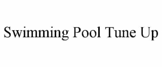 SWIMMING POOL TUNE UP