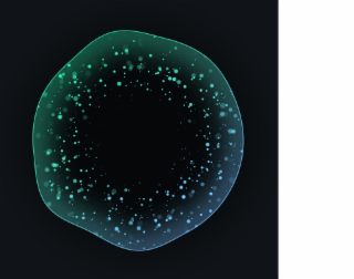 Image Trademark