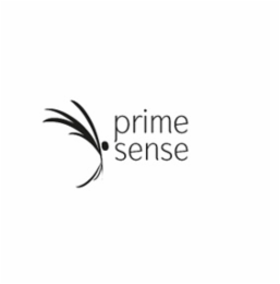 PRIME SENSE
