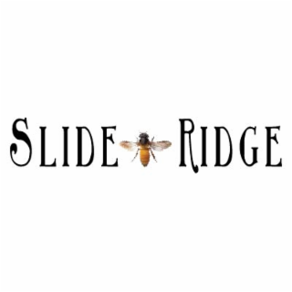 SLIDE RIDGE