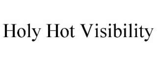 HOLY HOT VISIBILITY