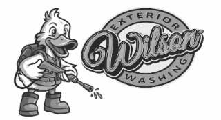 EXTERIOR WILSON WASHING