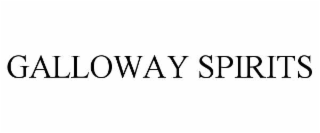 GALLOWAY SPIRITS