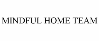 MINDFUL HOME TEAM