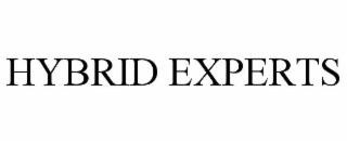 HYBRID EXPERTS